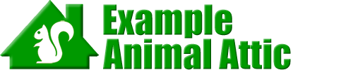 SITY Animal Attic